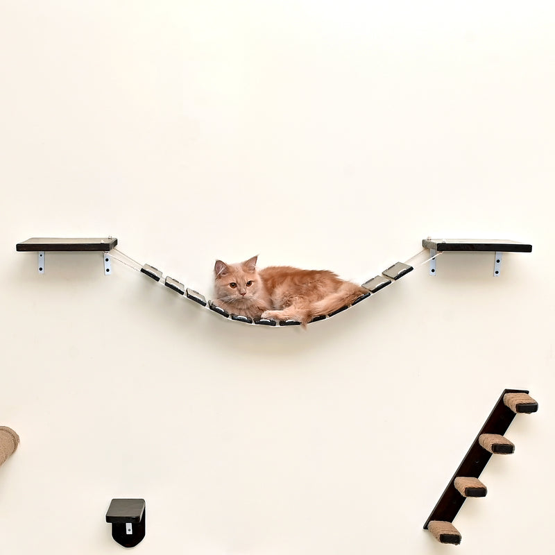 Cat Bridge