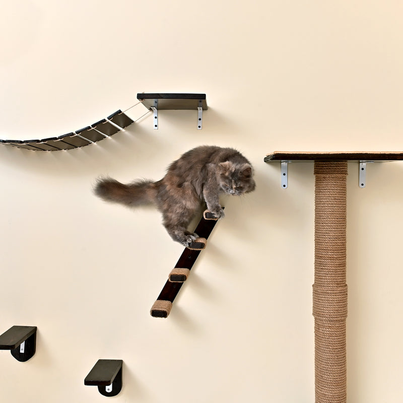 Cat Climbing Wall Ladder (Set of 2)