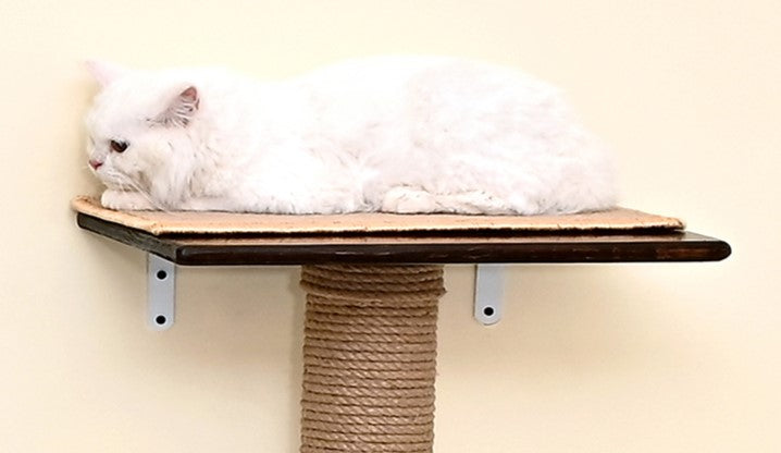 Cat Wall Shelf