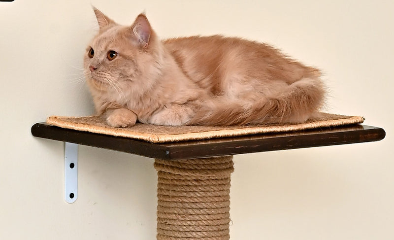 Cat Wall Shelf